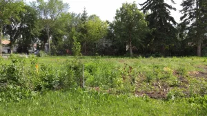 Vacant lot in West Jasper Place, Edmonton